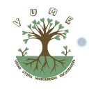 avatar kirabira Israel.