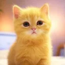 1minicat