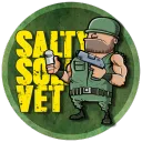 saltysoldiervet