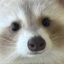 aai