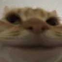 exoticbutter8419 avatar