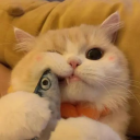 avatar Pudding (Soybean)