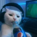00devinek