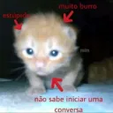 receba4avinganca avatar