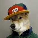 herbaldoge