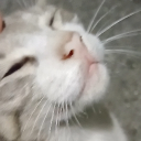 solihwa#5070's avatar