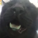 monky5688 avatar