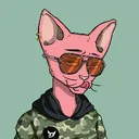 .furryturtle
