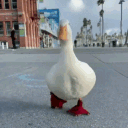 avatar nǝı̣ɥ ɥuı̣ɯ