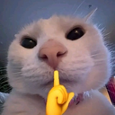 Drift.RIP Discord User Avatar