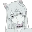 xaeri