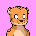 heavydcrypticalpha.io3736