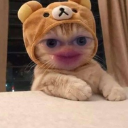 avatar No:zé