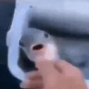 natebs