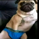 avatar KissMeImLeroy