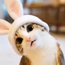 catzerwagen