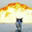atomic2232323424324