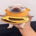 eeemi