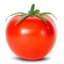 tomato5552