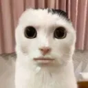 nnnaaaqqq