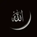 mseif79