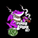 littlemexico420