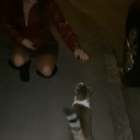 avatar 𝓛𝓲𝓷𝓪