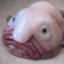 avatar 𝓜𝓛🗿🍷