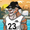 jordannftigers4395