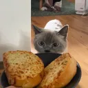 annierau