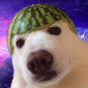 dinonugget747
