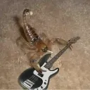 classic.rock