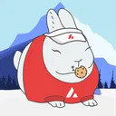 chubbybunny7496