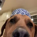 fuite_wab