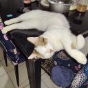 mikigaming13's Avatar