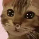 avatar 𝙺𝚊𝚝𝚝