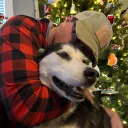 charleythechair