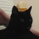 thefreshyboy