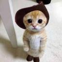 https://cdn.discordapp.com/avatars/906646239406338088/60c9a410a558943ac1cfaa0f2bd0fd1a.jpg?size=128