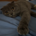 Discord Avatar