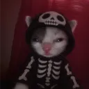 wacklyiswacky