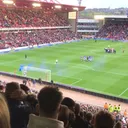 itfc.will