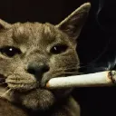 itsdevpieter_10