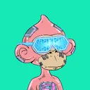 fatstackz.sol