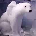 kobeltaha
