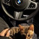 avatar 𝖑𝖊𝖓𝖆 ❦