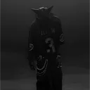 .isvvs