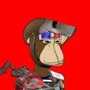 skydifer avatar