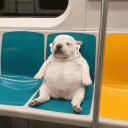 mar_sh.'s profile picture