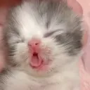 babyazo_krakausky